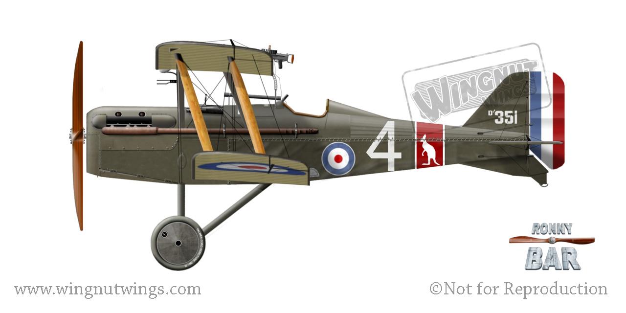 D351%20%274%27,%20Vickers%20built,%206th%20Training%20Sqn%20AFC,%20October%201918.jpg