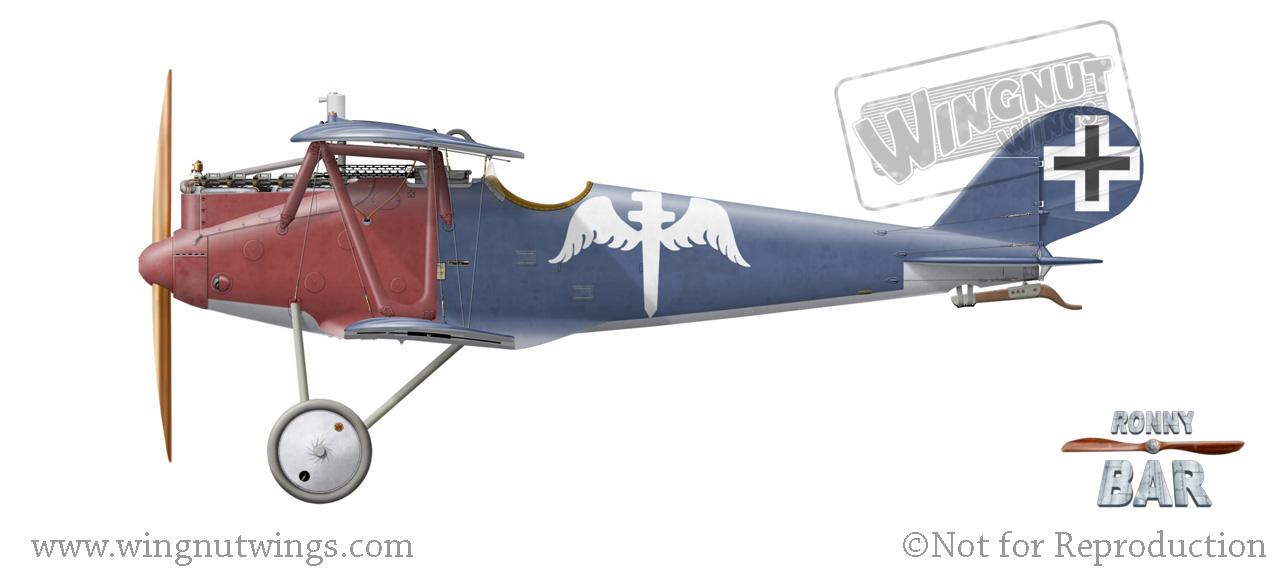 Pfalz%20D.IIIa,%20Rudolf%20Berthold,%20J