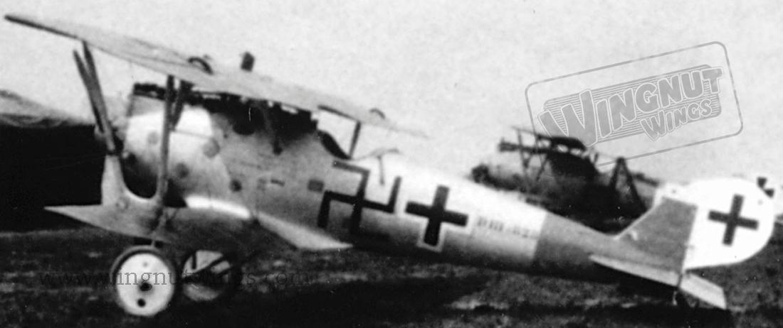 Pfalz%20D.IIIa%208284~17%20Jakob%20Polli