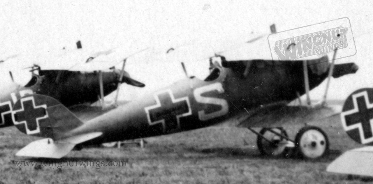 Pfalz%20D.IIIa%20-%20Jasta%2079b%20(AL01