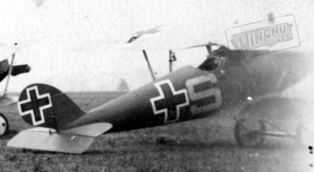 Pfalz%20D.IIIa%20-%20Jasta%2079b%20(AL01