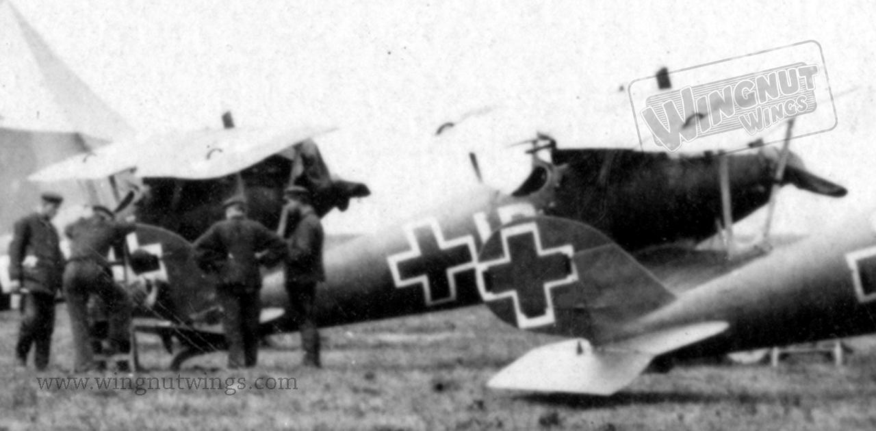 Pfalz%20D.IIIa%208170~17%20Hans%20Bohnin
