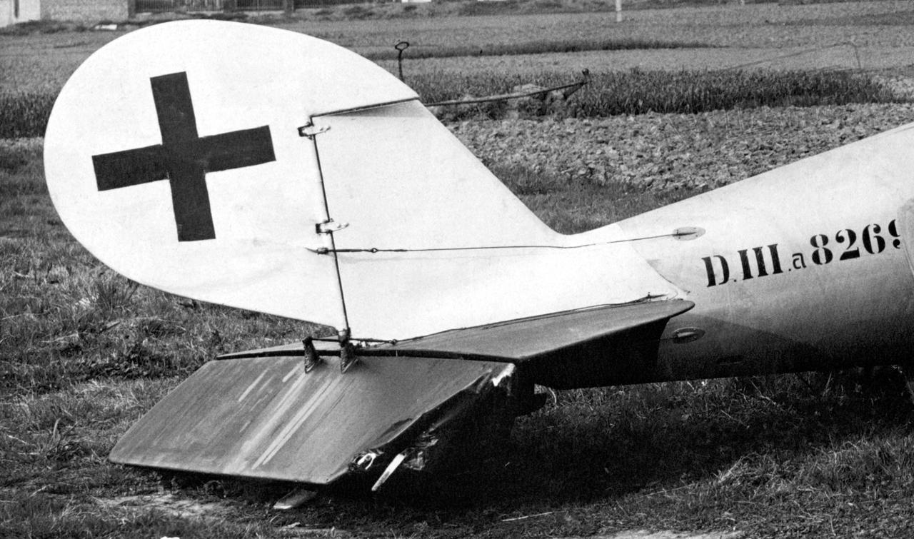 [Obrázek: Detail%20tailplane.%20Pfalz%20D.IIIa%208...-11%29.jpg]