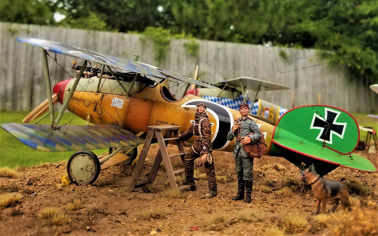 Wingnut Wings - 1/32 Albatros D.V/D.Va