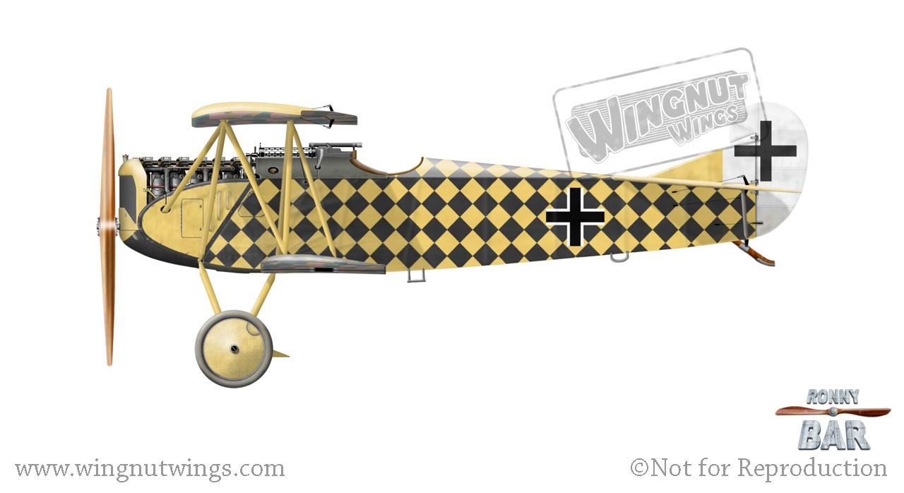 Fokker%20D.VII,%20Gotthard%20Sachsenberg,%20MFJGr%201,%20October%201918%20%2831%20victories%29.jpg