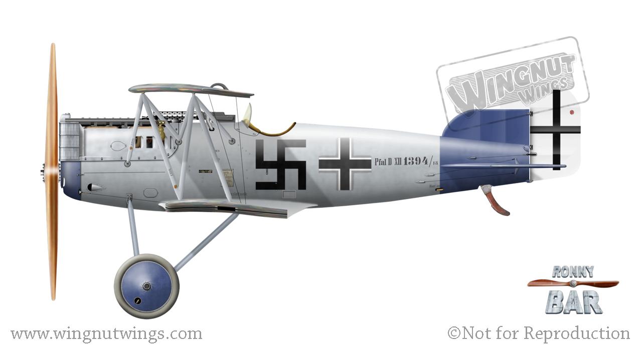 www.wingnutwings.com/ww/www/products/model_kitsets/32019/colour_schemes/Pfalz%20D.XII%201394~18,%20Jasta%2077b,%20July%201918.jpg