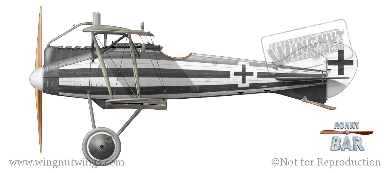 Roland%20D.VIa,%20Emil%20Koch,%20Jasta%2032b,%201918%20%287%20victories%29.jpg